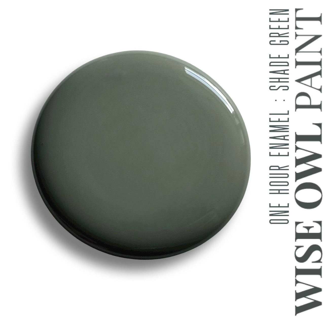 One Hour Enamel Paint