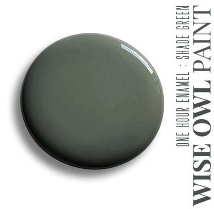 One Hour Enamel Paint