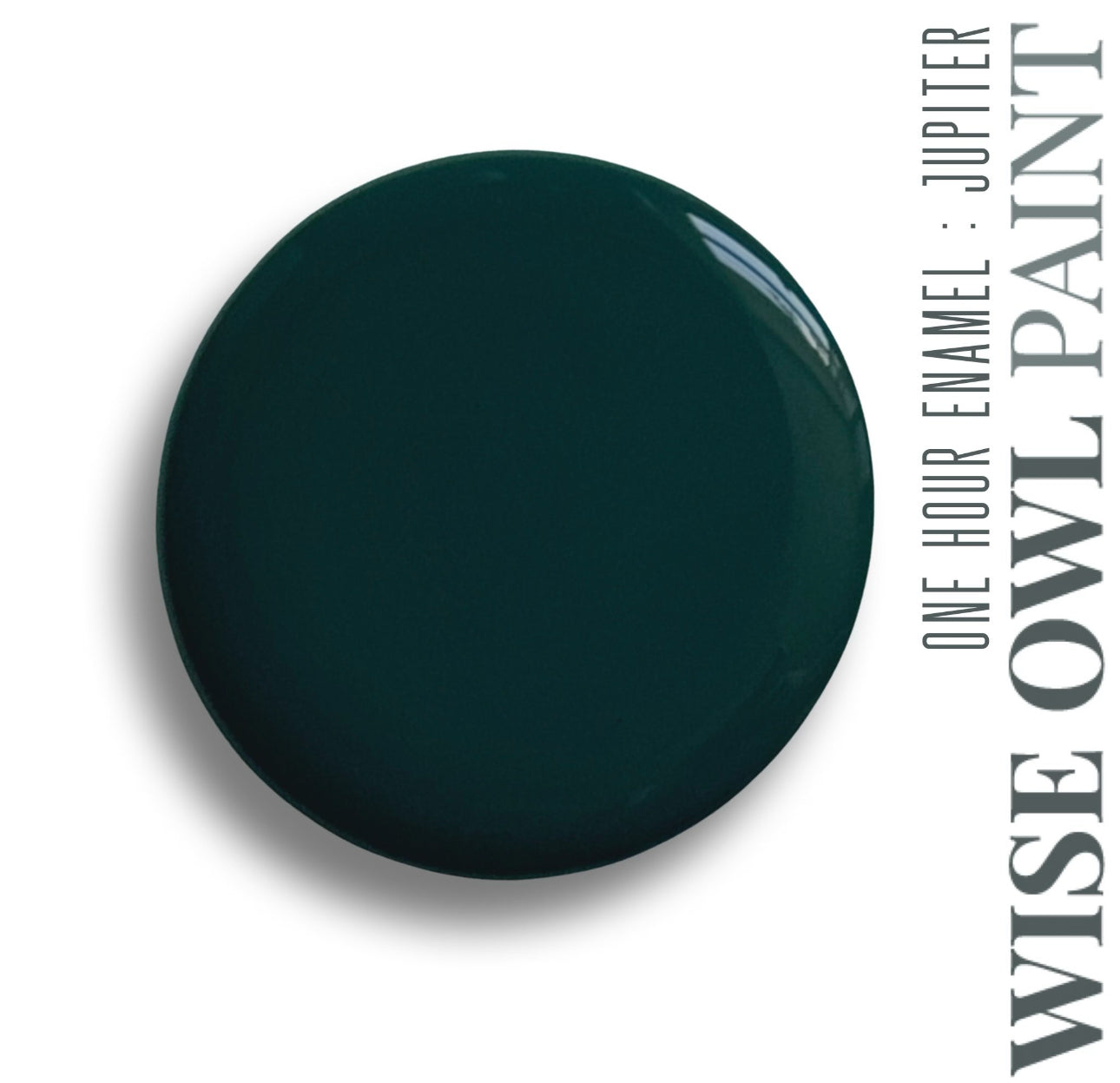 One Hour Enamel Paint